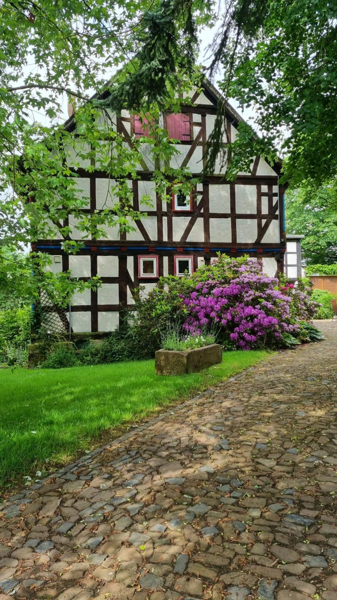 Wolfsmuehle Villa Neustadt  Kültér fotó